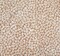 1 Yard Mud Tone Rayon Crinkle Fabric Airy Lightweight Material with Luxuriously Draped Texture for Dresses Blouses and Skirts 50/52 Inch Width